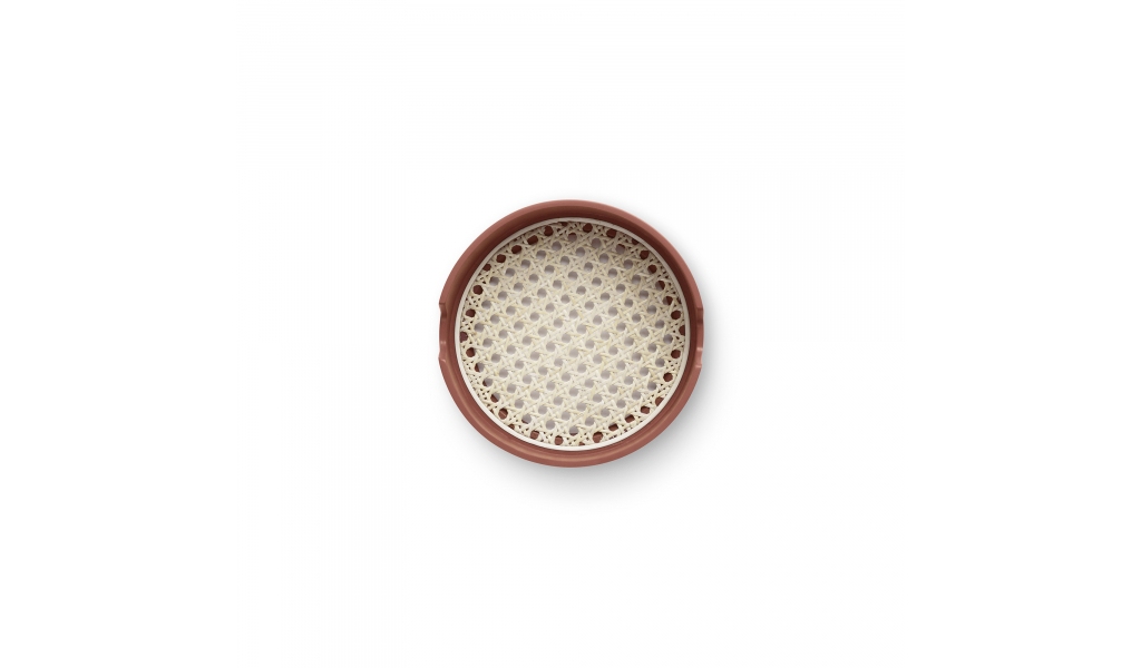 Salon Tray