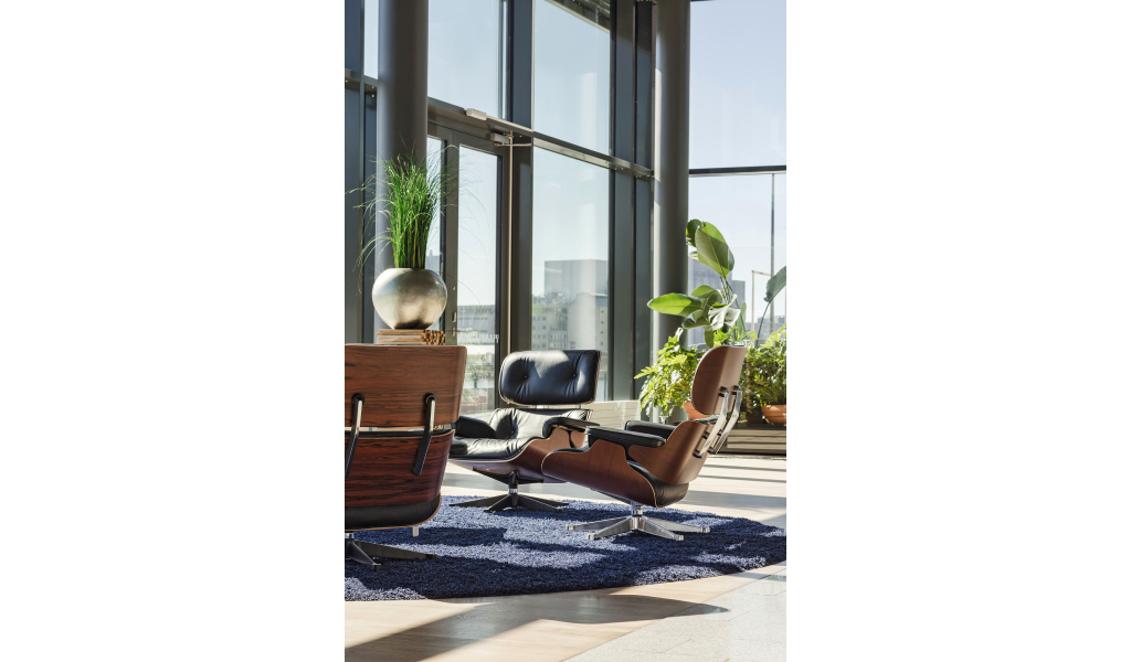 Lounge Chair, třešeň
