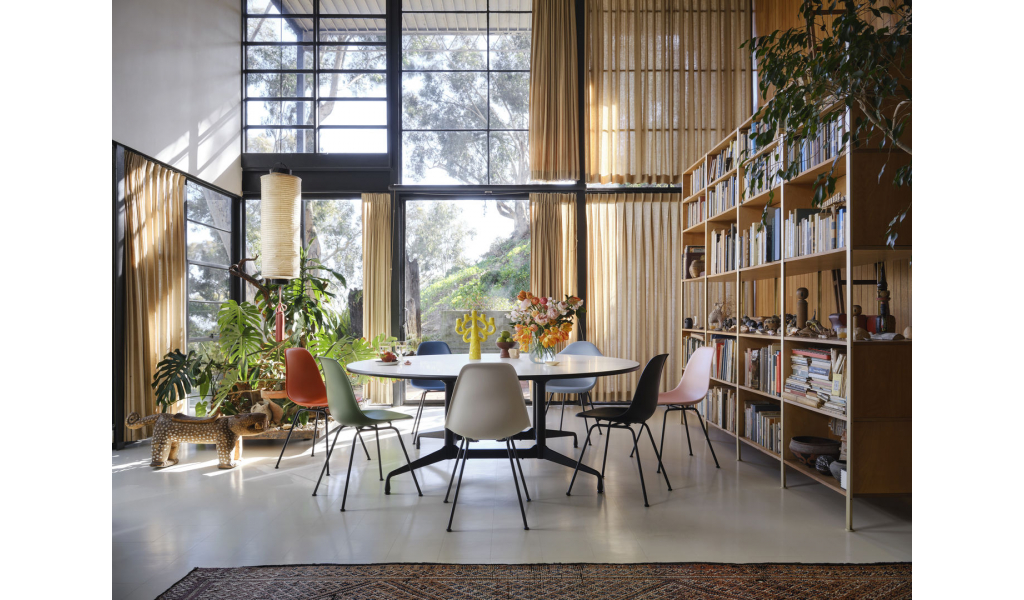 Eames Plastic Chair RE DSX