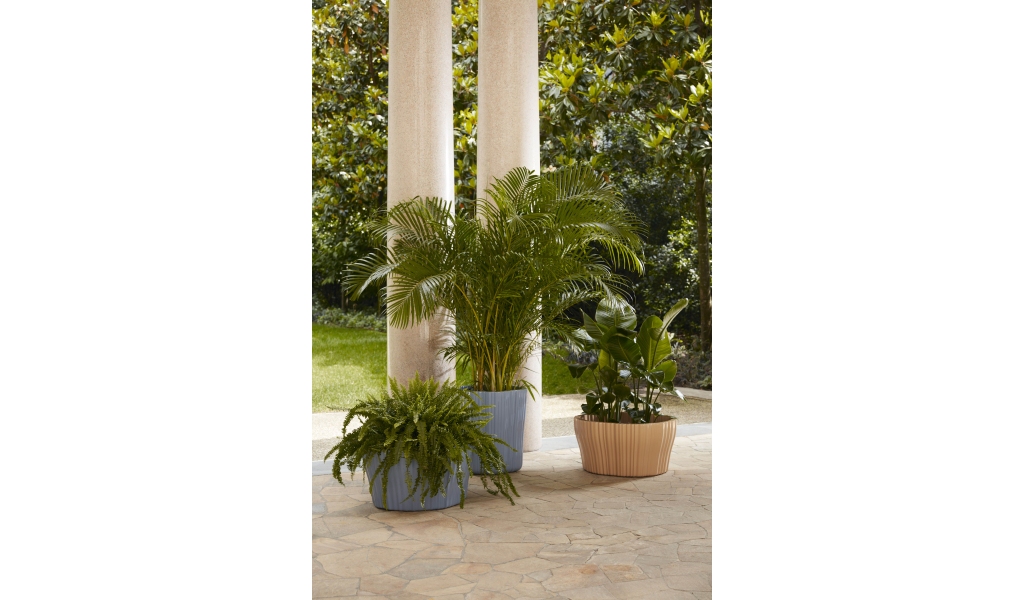 Corteza kvietnik 36 x 70