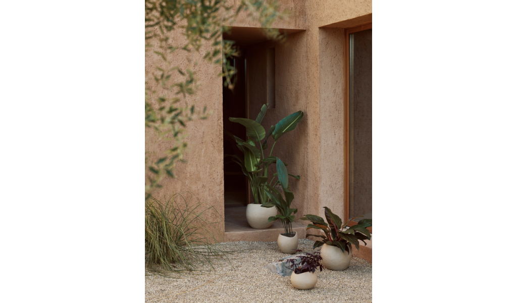 Plantas Planter