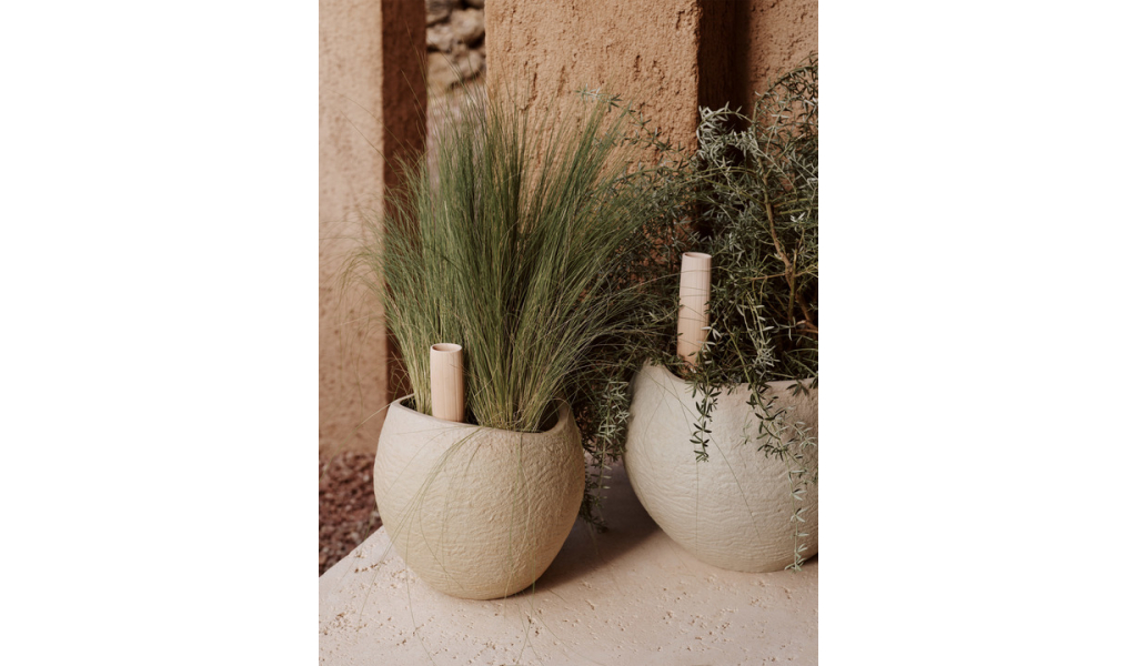 Plantas Planter