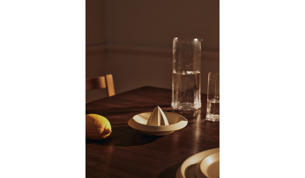 Erena Citrus Juicer