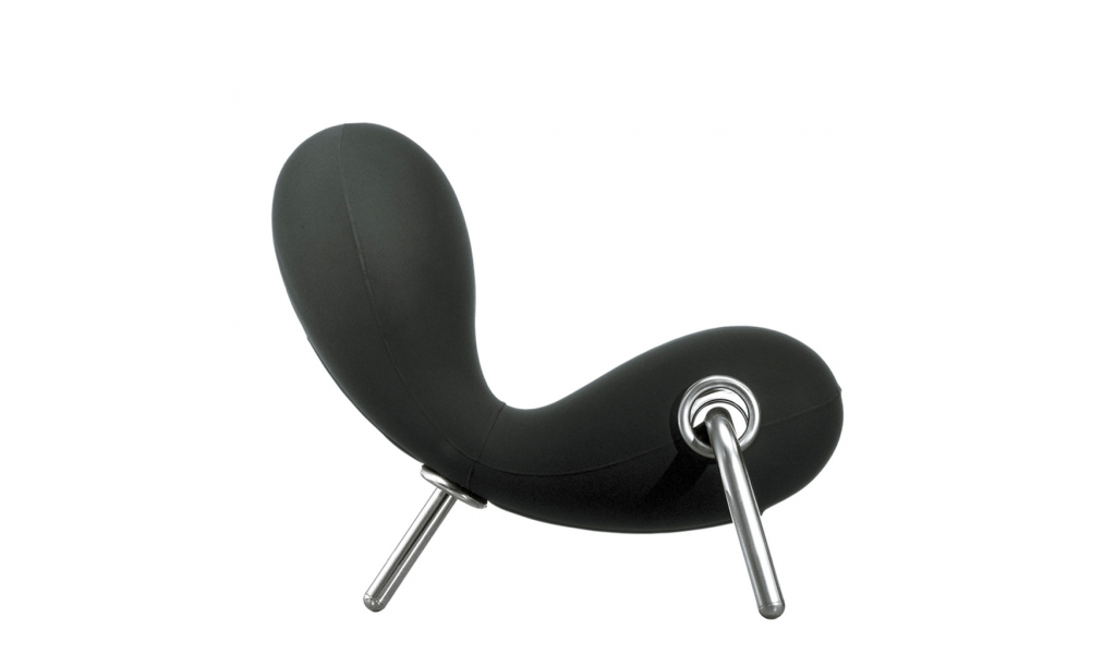 Embryo Chair