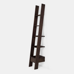 Ladder bookcase