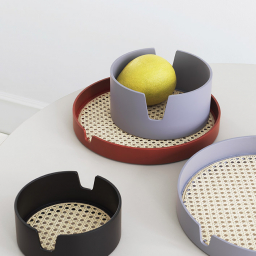Salon Tray