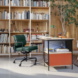 Soft Pad Chair EA 217 Snow/leather