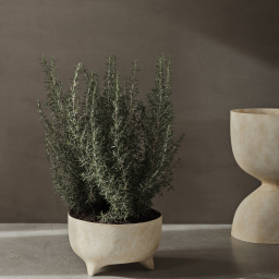 Evoke Pot