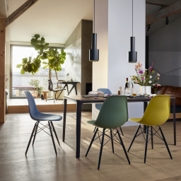 Eames Plastic Chair DSW
