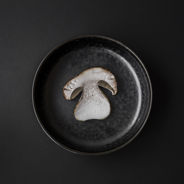 New Norm Dinnerware Plate