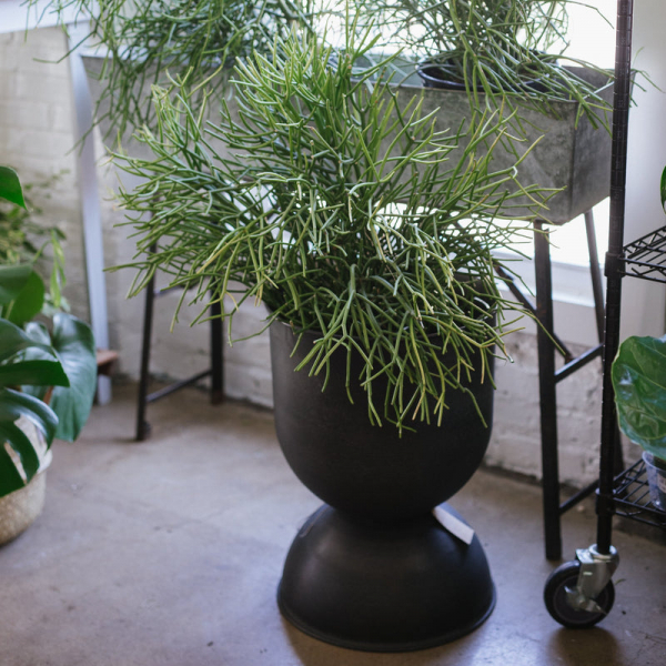 Hourglass Pot Medium