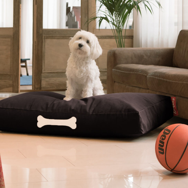 Doggielounge Canvas Large