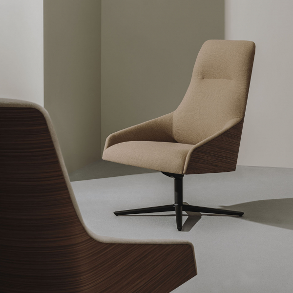 Alya Executive