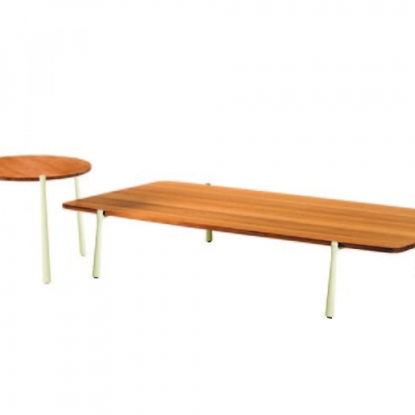 Branch low table