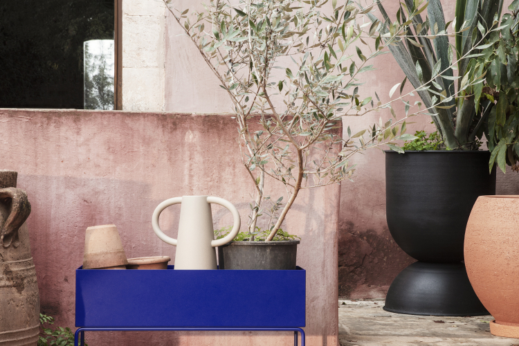 Plant Box