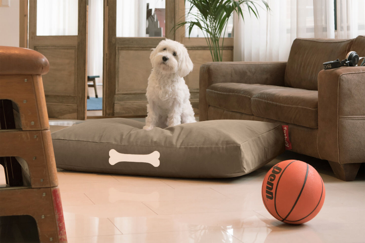 Doggielounge Canvas Large