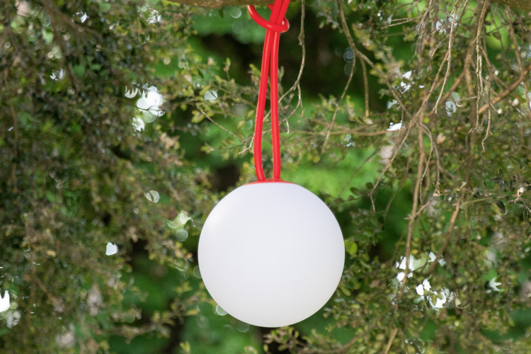 Bolleke